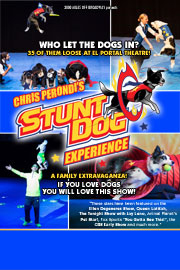El Portal Theatre Stunt Dog Experience